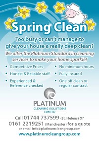 Platinum Cleaning Solutions 356054 Image 1